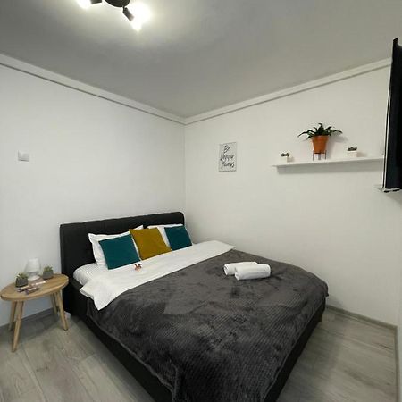Cozy Studio Apartament Zalău Zewnętrze zdjęcie