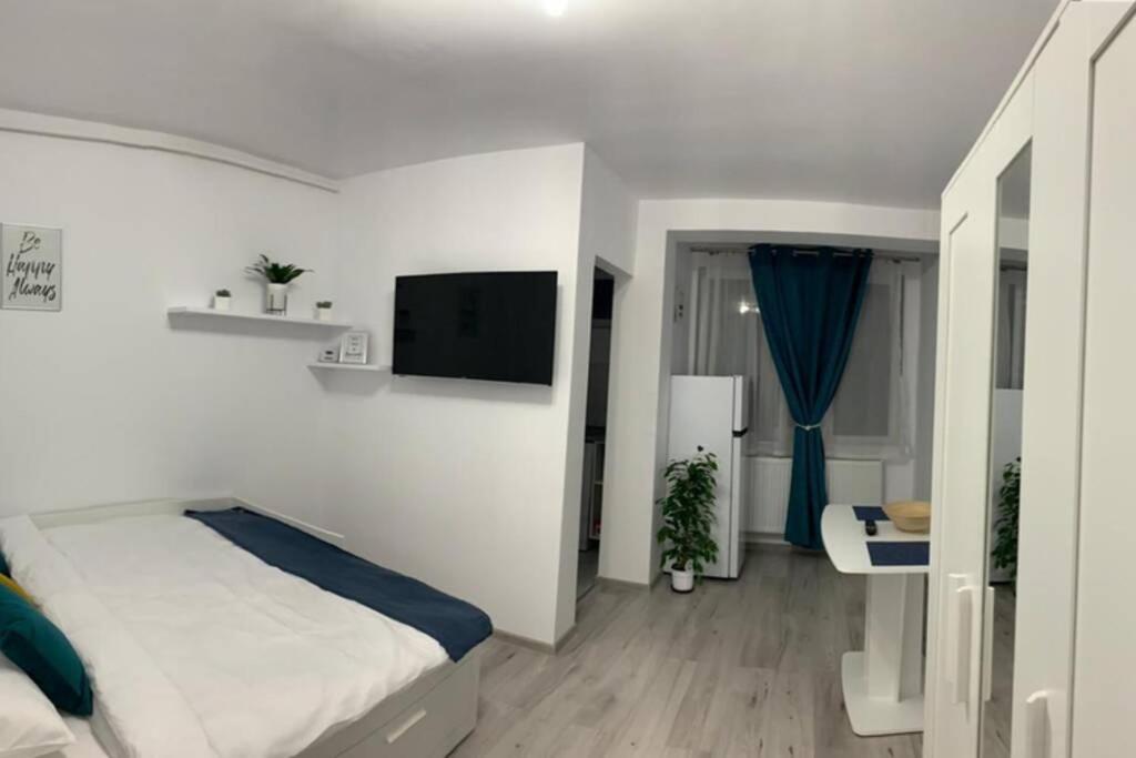 Cozy Studio Apartament Zalău Zewnętrze zdjęcie