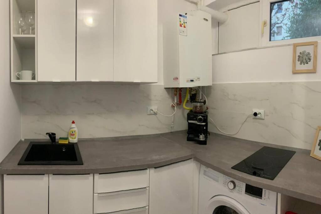 Cozy Studio Apartament Zalău Zewnętrze zdjęcie