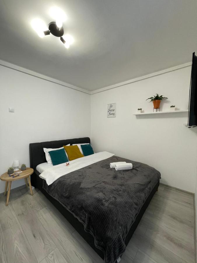 Cozy Studio Apartament Zalău Zewnętrze zdjęcie
